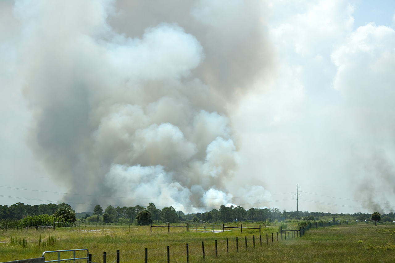 Wildfire Smoke – Its Impact, Symptoms And Precautions